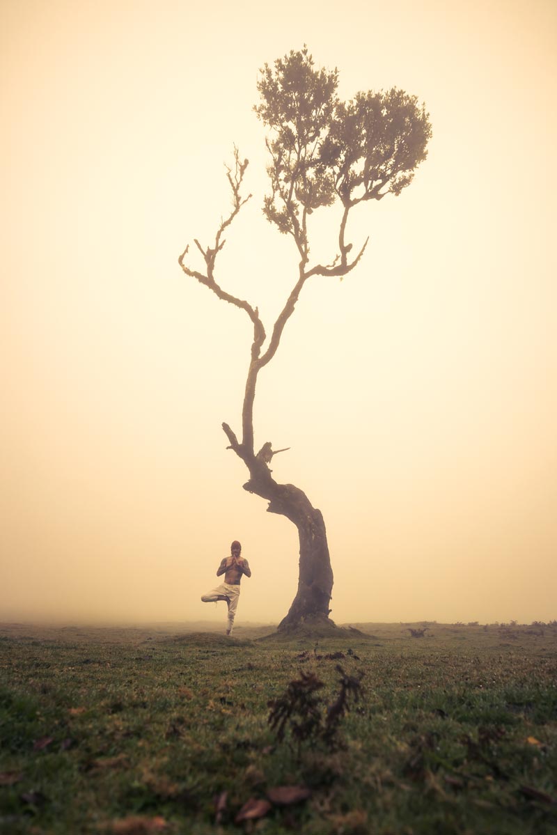 A man stands in tree pose beside a single tree