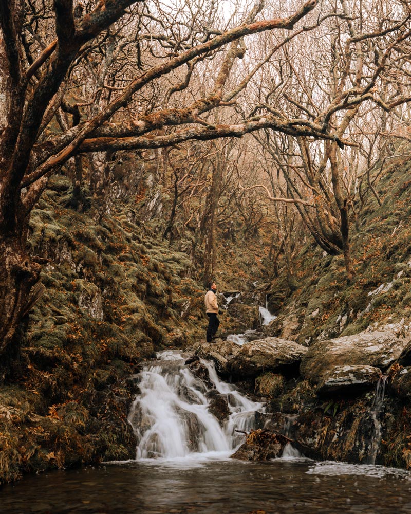 A man in a forest, with a small waterfall